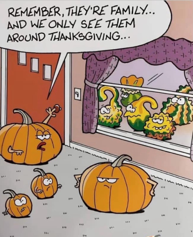 The Punkin Head Chronicles
