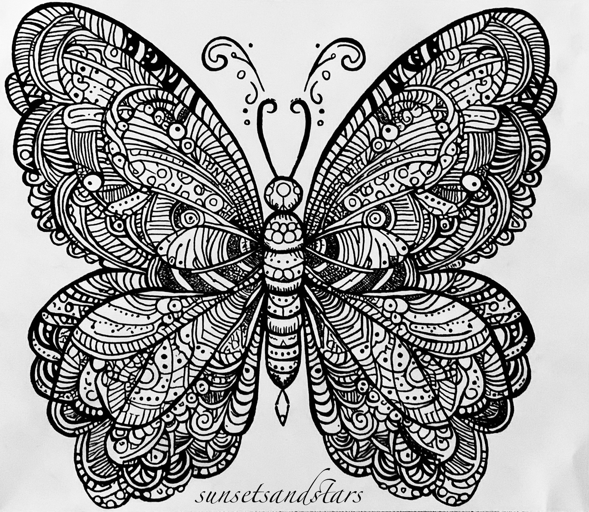 Whimsical Butterfly Art: A Creative Journey