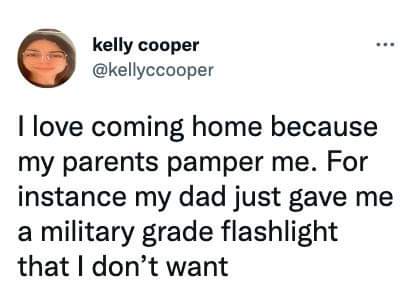 Dad's Toolbox vs. Government Work: A Comedic Dilemma
