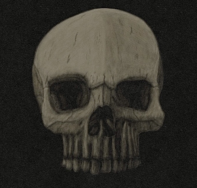 The Evolution of Skulls: A Progression Journey