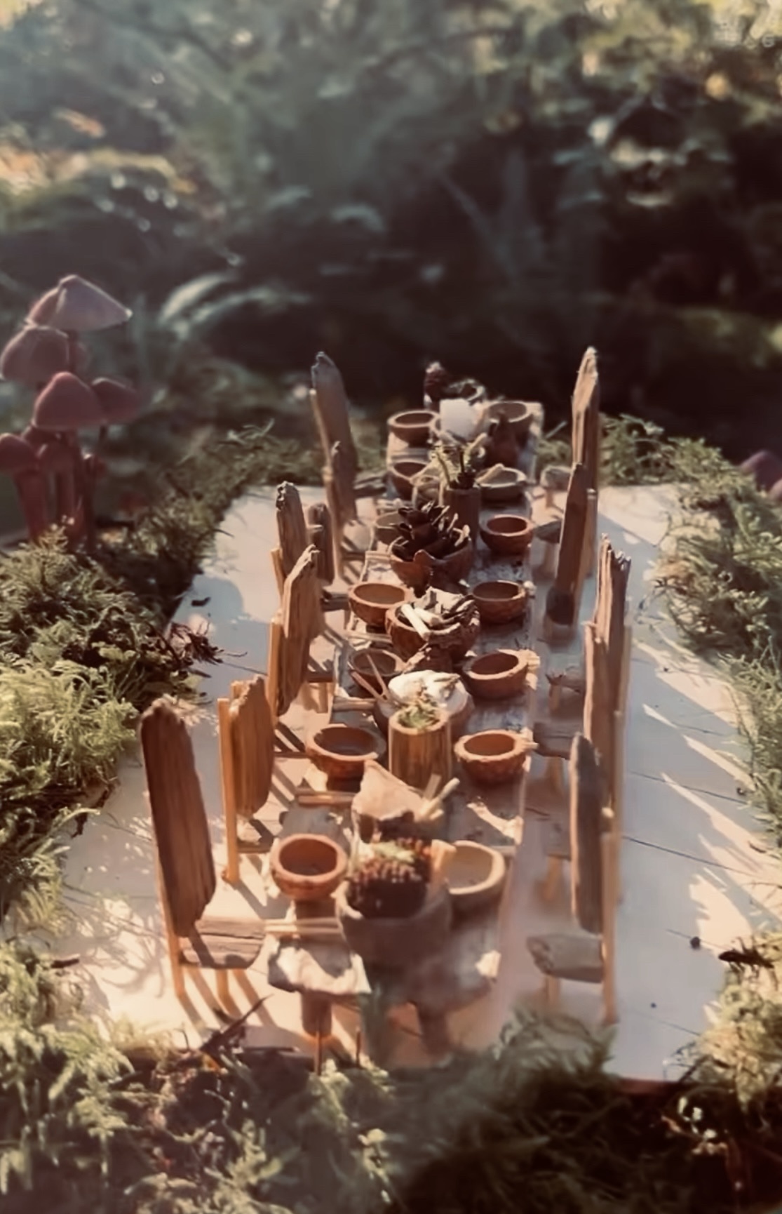 A Delightful Feast of Mini Acorns