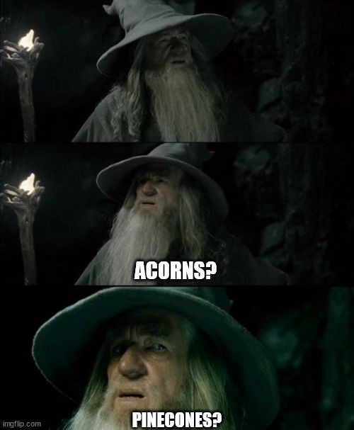 What's Happening on Imgur Right Now?
