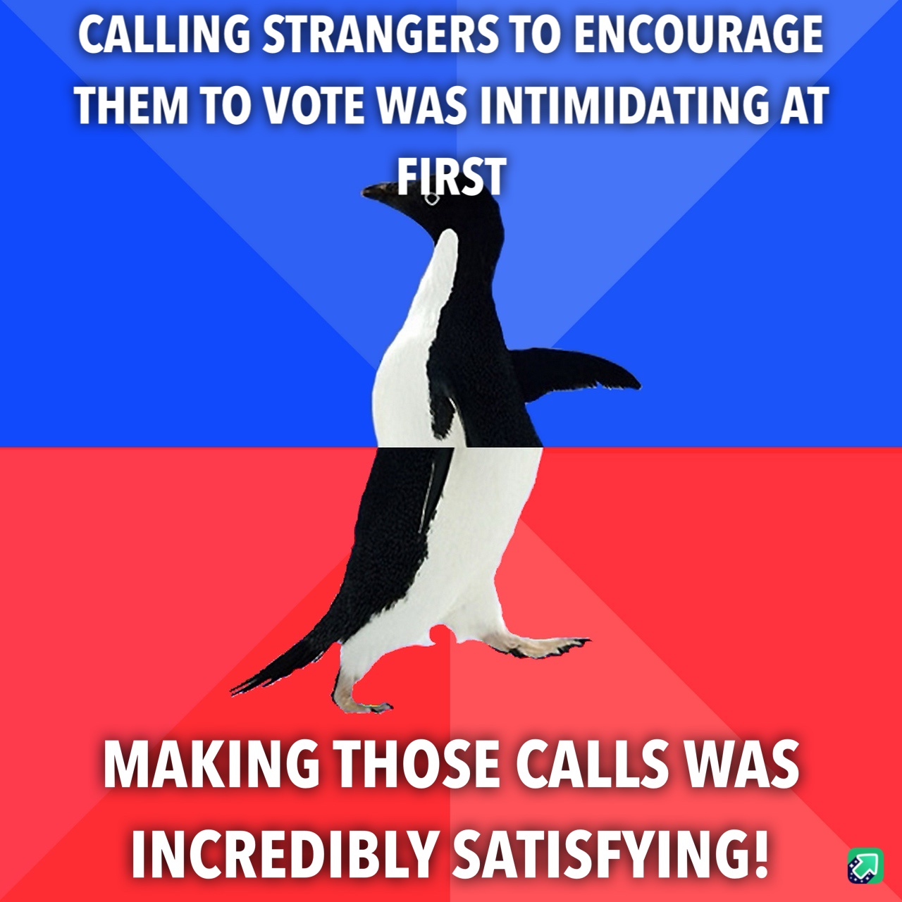 My Wholesome Experience Phone Banking to Encourage Voting!