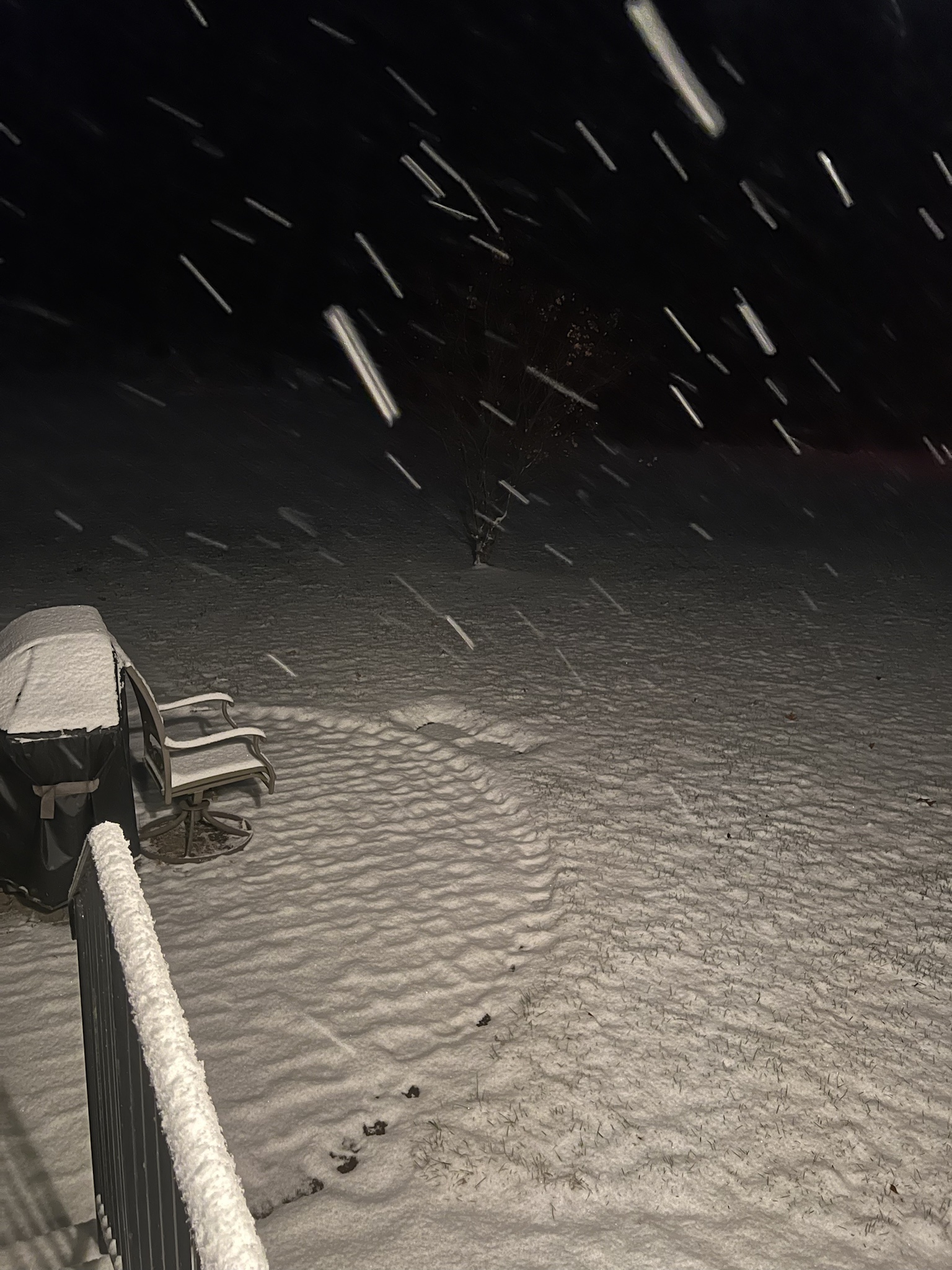 Longing for a Picture-Perfect White Christmas