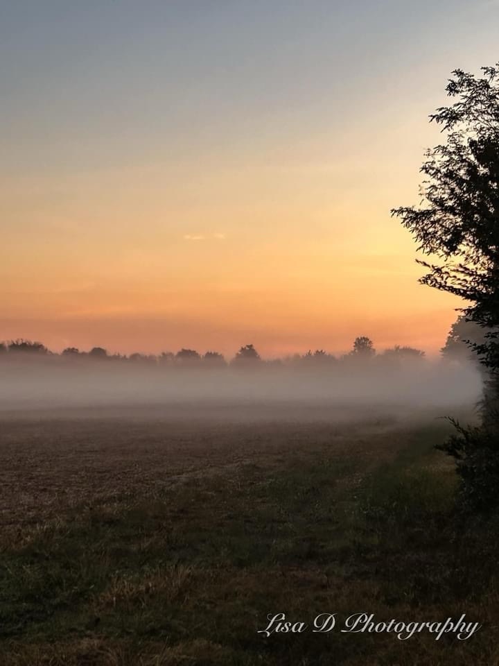 Mystical Morning Fog Envelops the Landscape