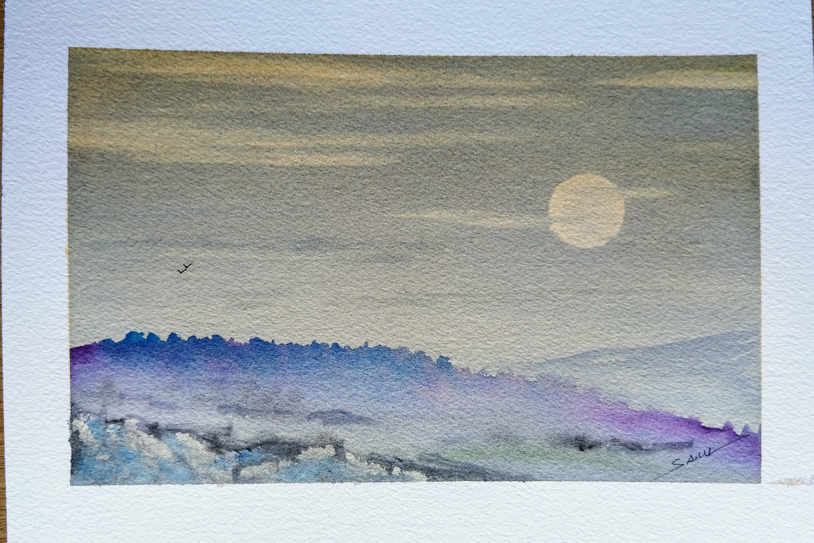 A Serene Night Landscape Captured in Watercolor