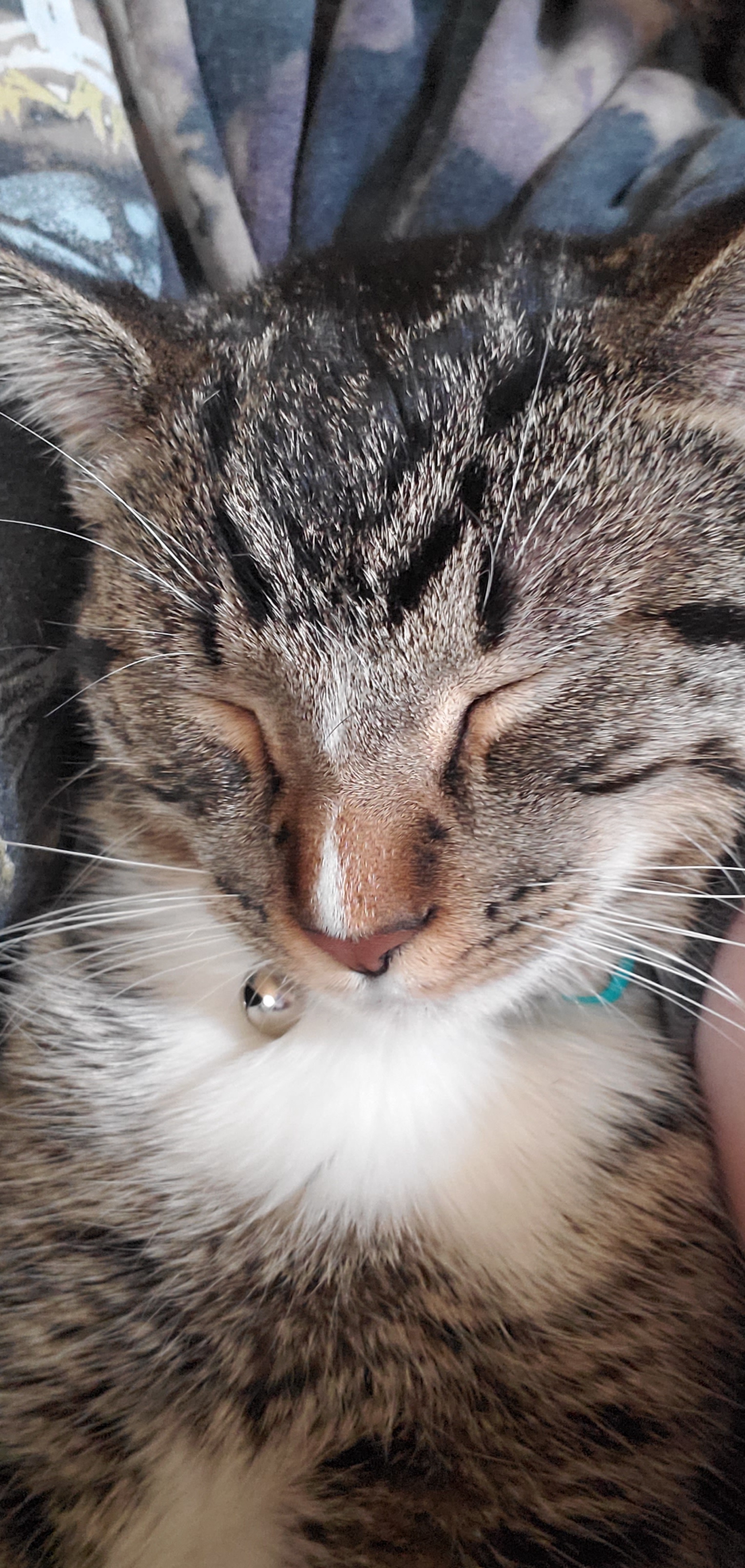 Meet the adorable eepy Birch!