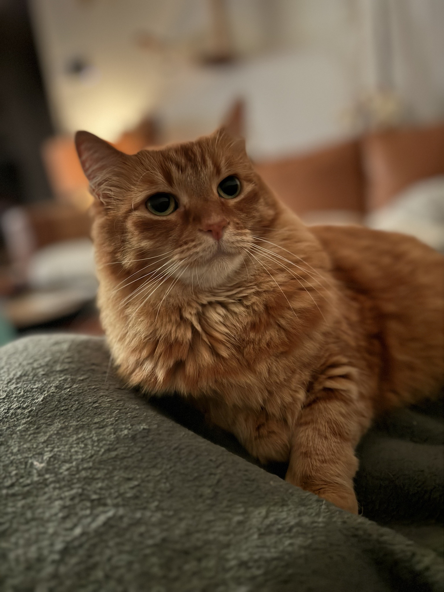 Toph Chronicles: Day 76 and Counting