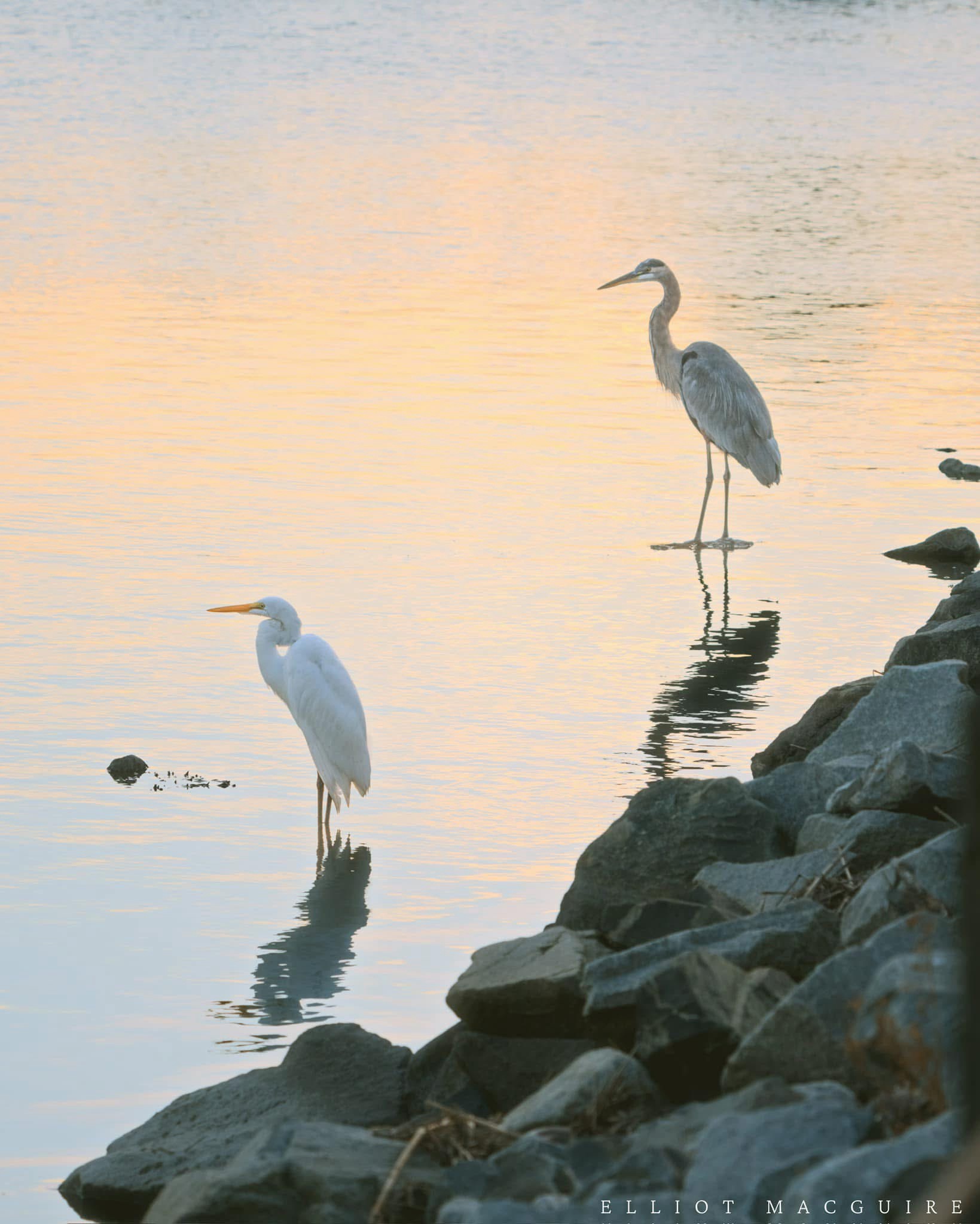 The local watering hole