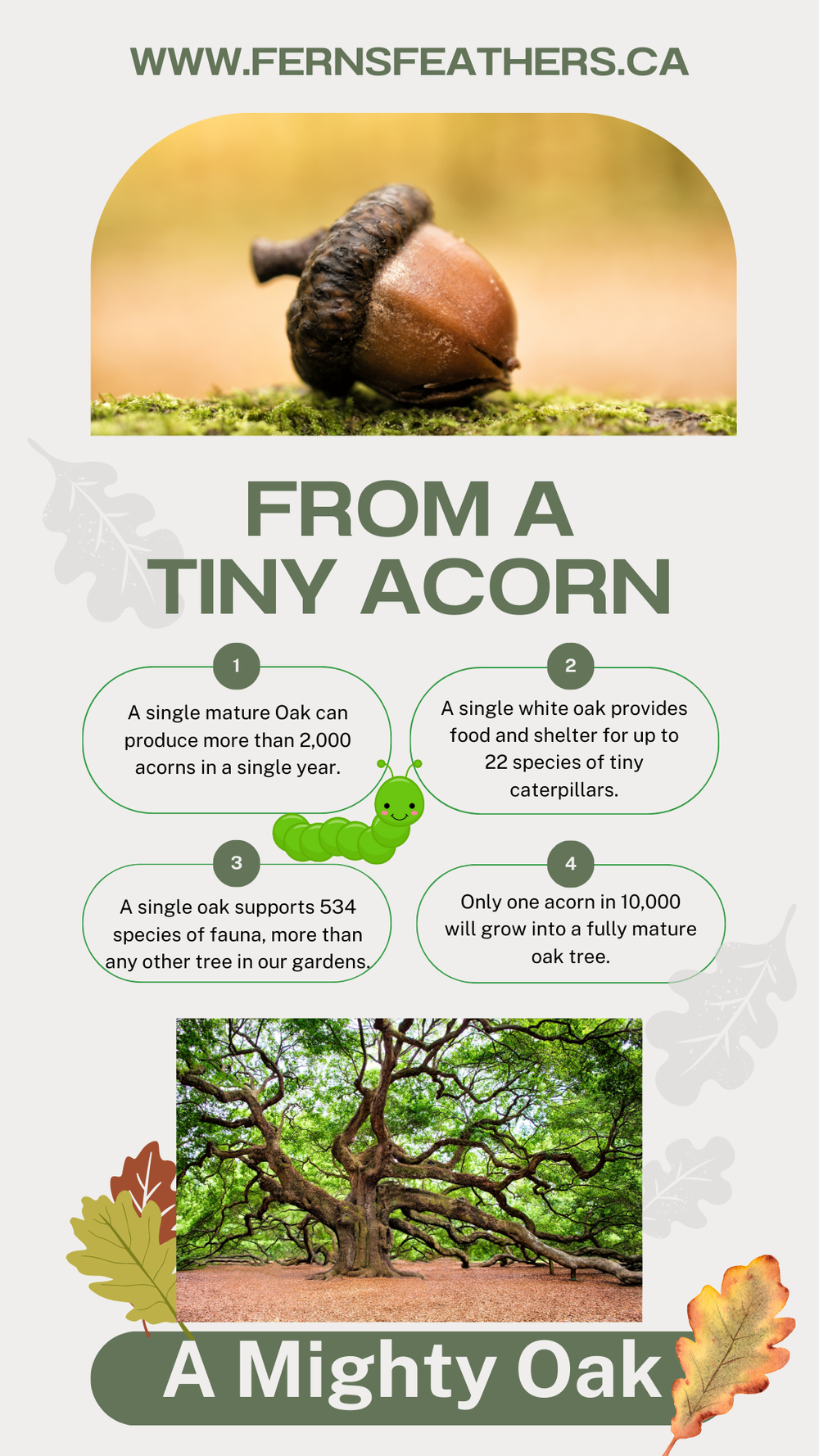 Team Acorn is ready to claim victory!