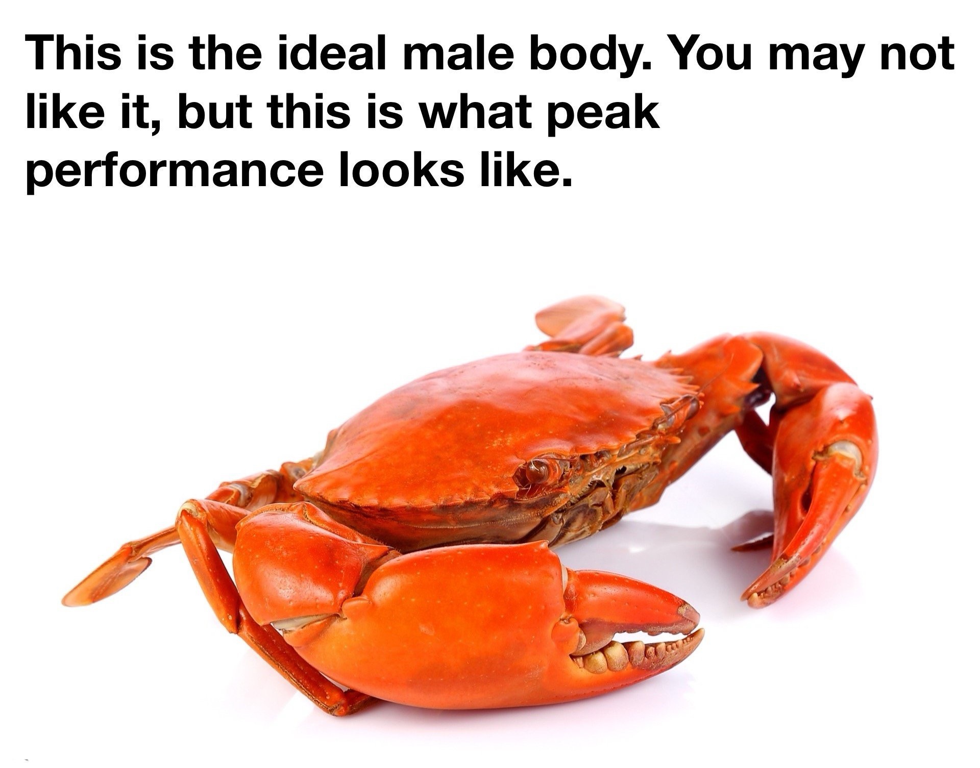 Flexing: It's Like Looking in a Mirror