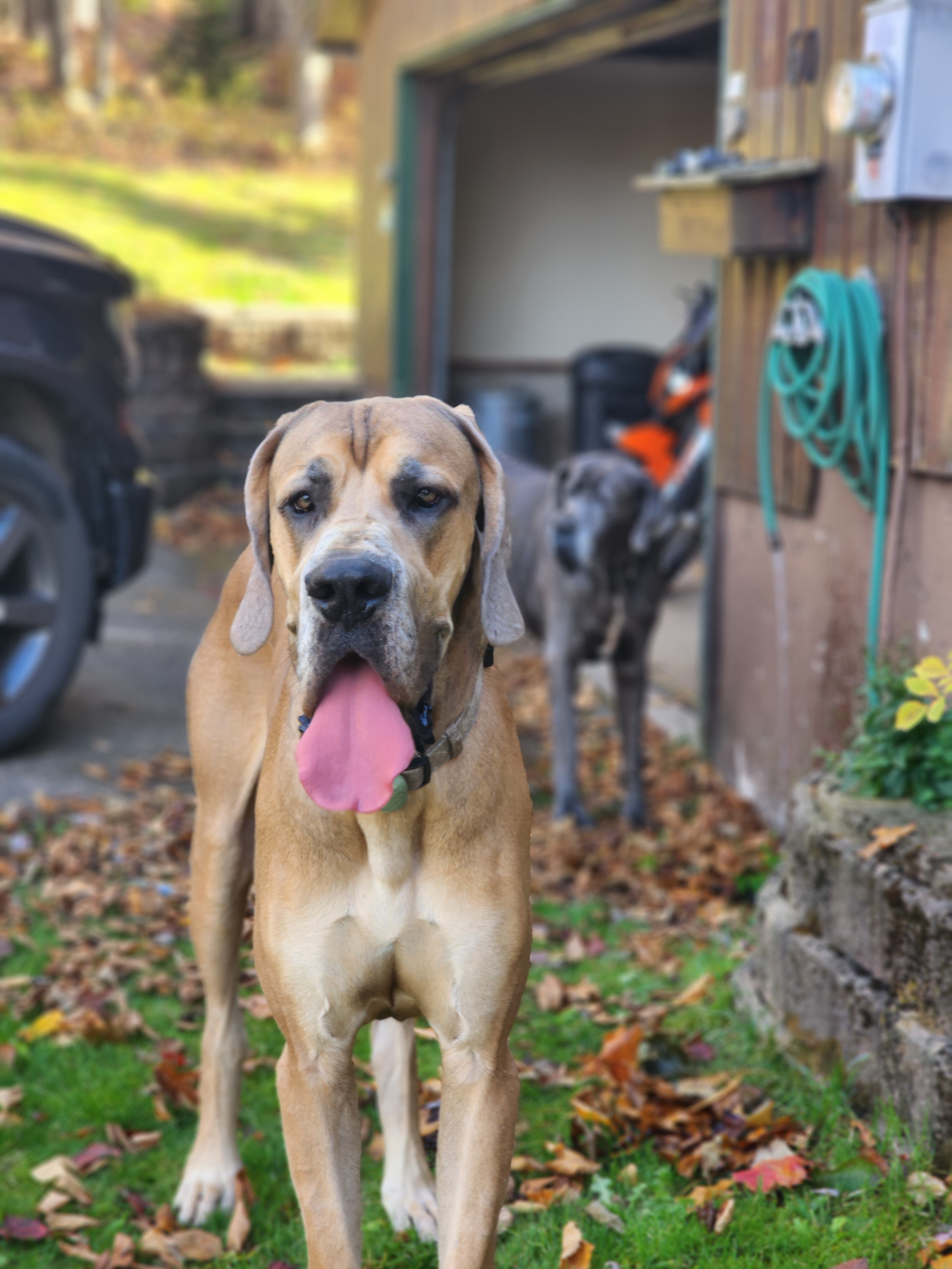 When the Sun Shines, Let Your Tongue Out!