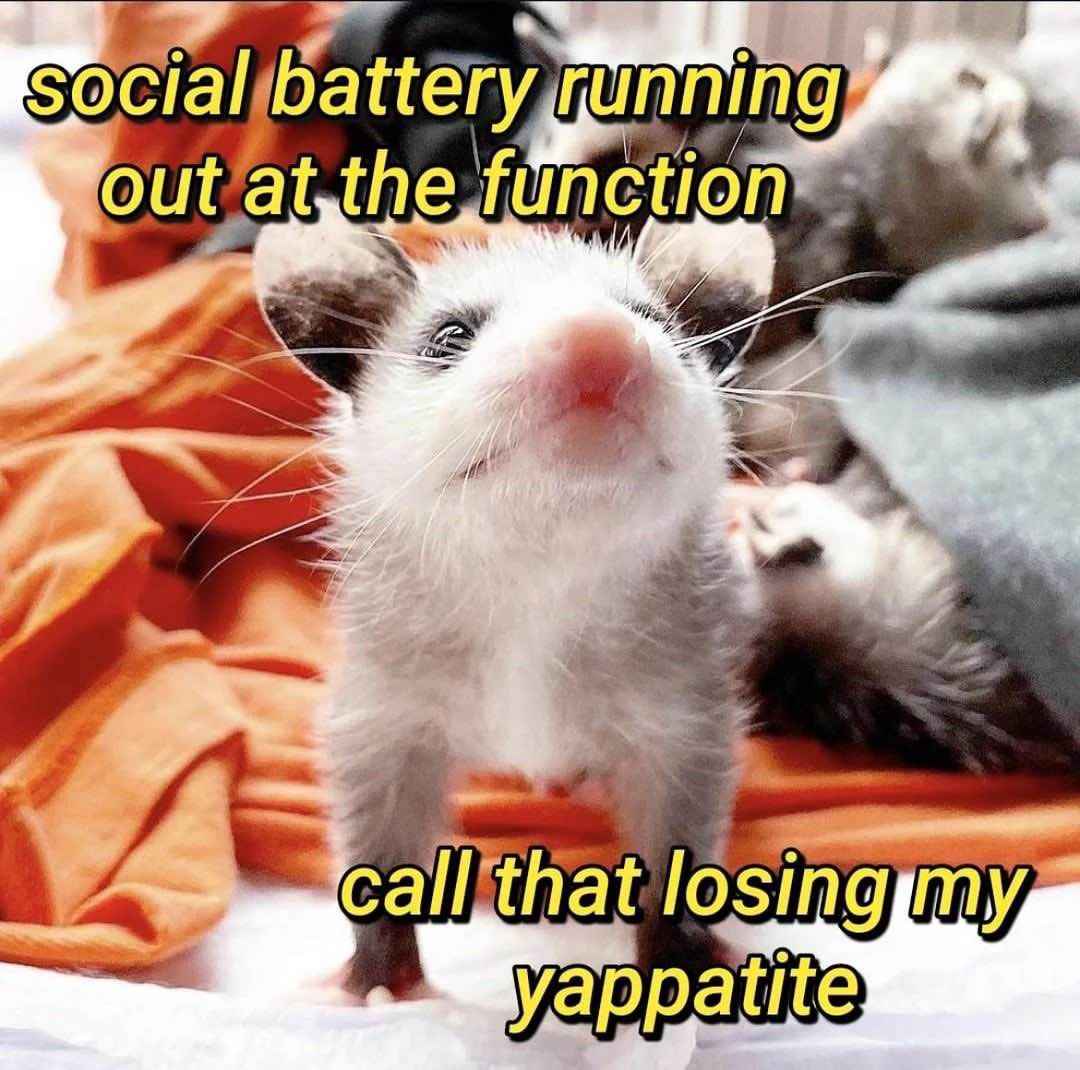Running on Social Battery Life