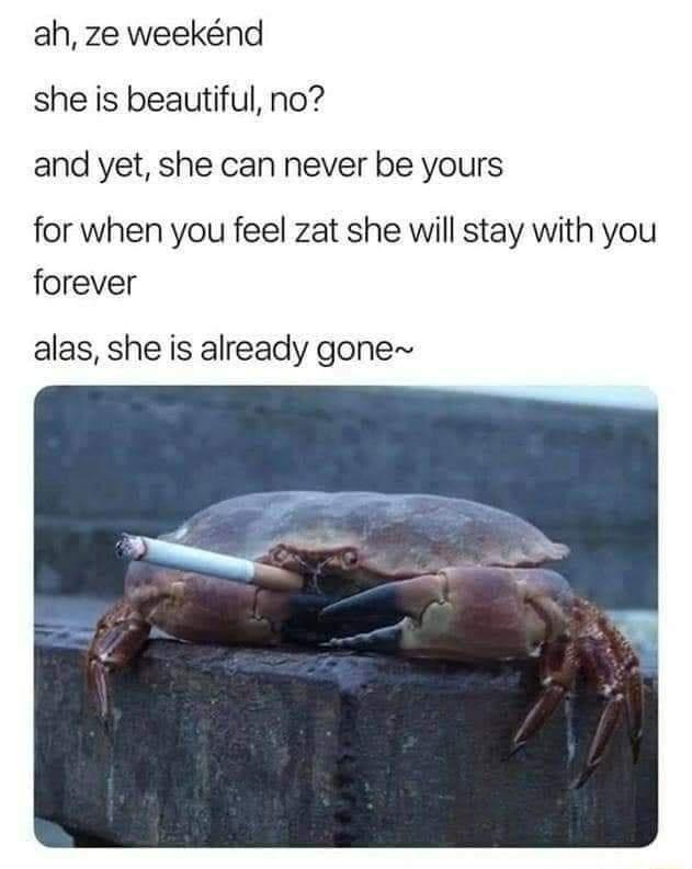 Crab of Nostalgia, Share Your Secrets with Me