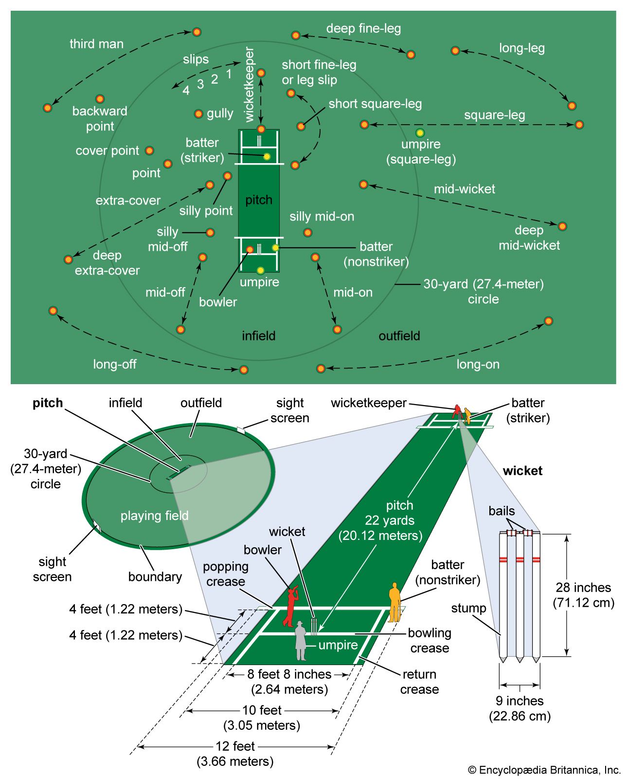 Understanding the Layout: Wickets and Fielding Positions in Cricket
