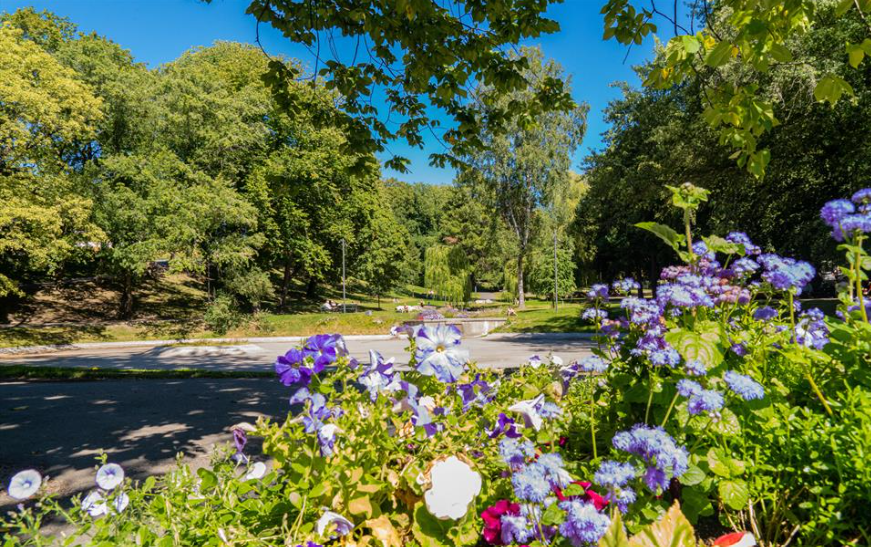 Exploring the Beauty of St. Hanshaugen Park