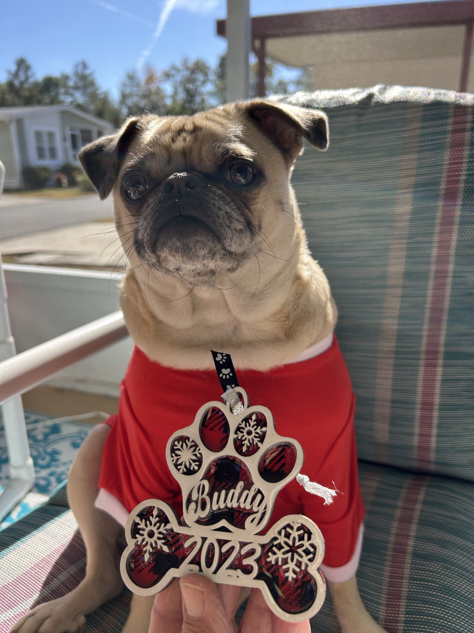 Confidence Level: Cute and I Know It