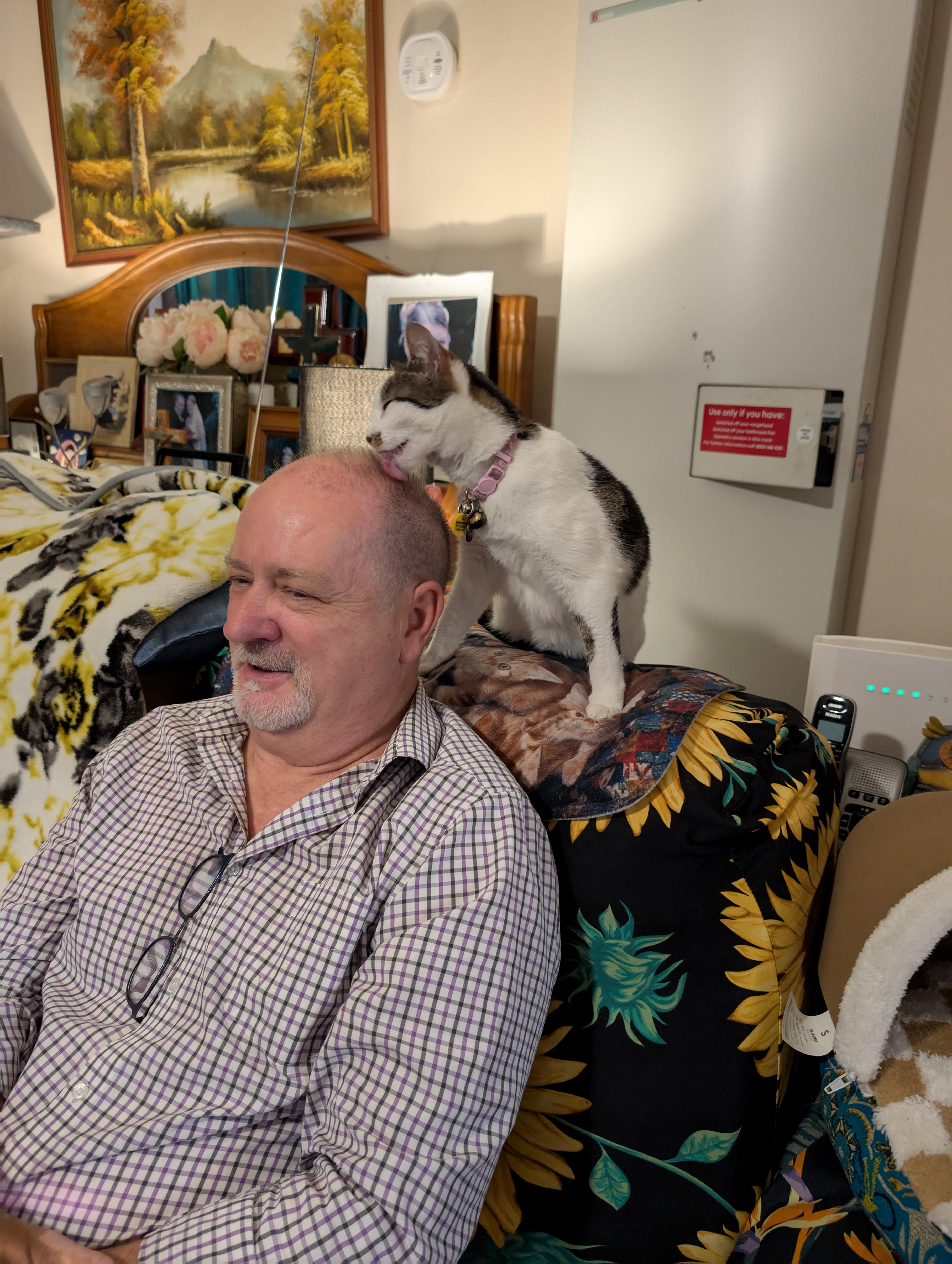 Today, I Received a Headbutt from a Cat!