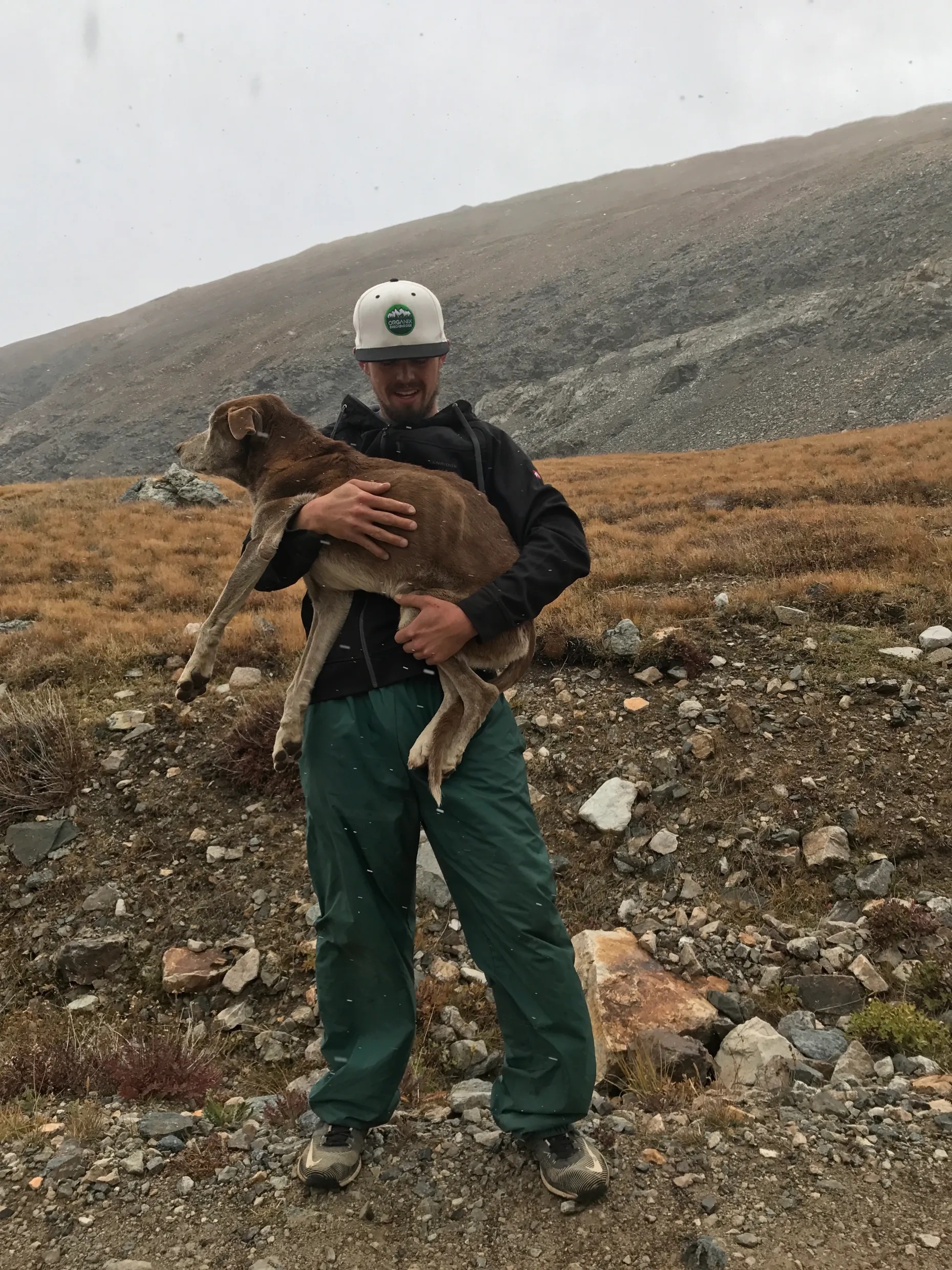 Brave Heroes Come Together to Rescue a Lost Dog on a Colorado Mountain