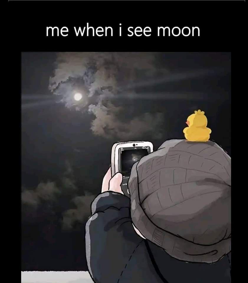That Moment When I Spot the Moon
