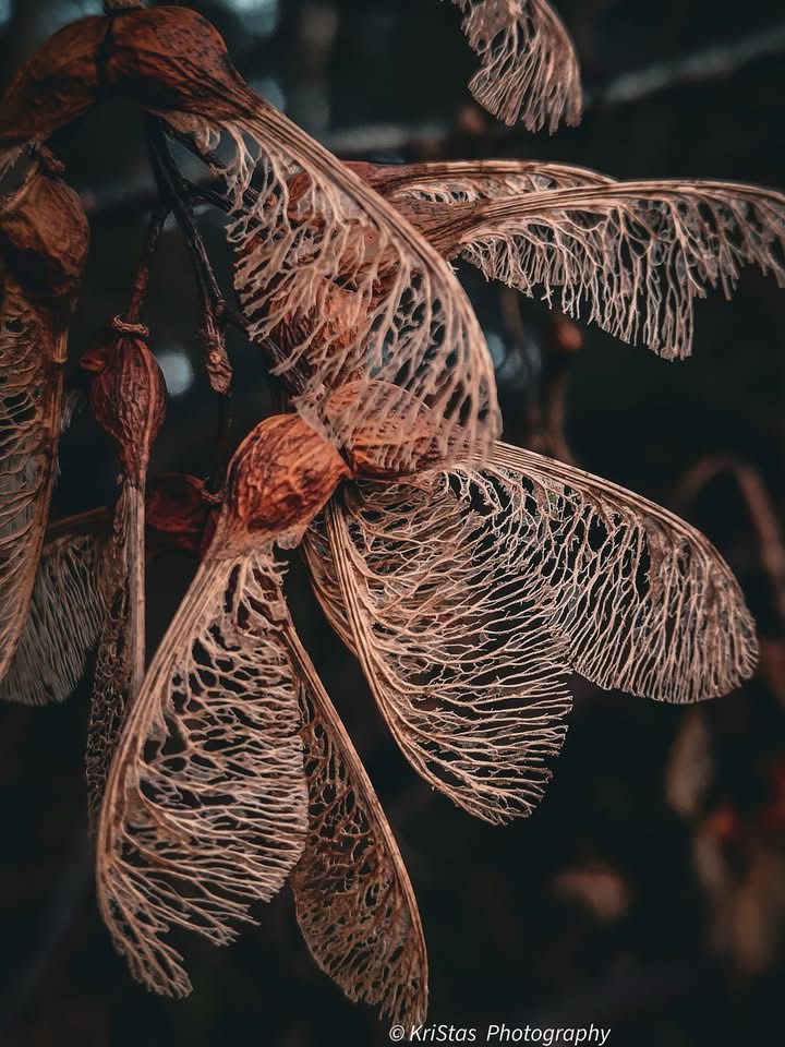 The Art of Texture