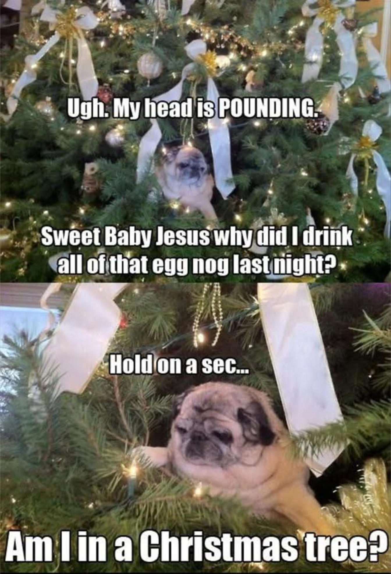 We've All Had That Moment, Right?