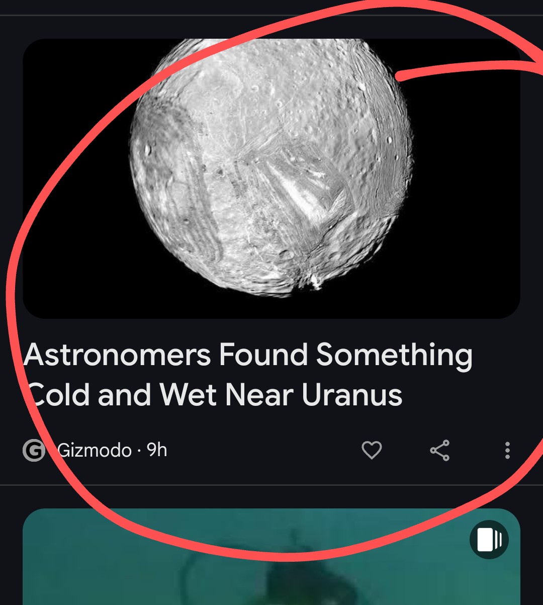 When the Article Headline is Pure Gold!