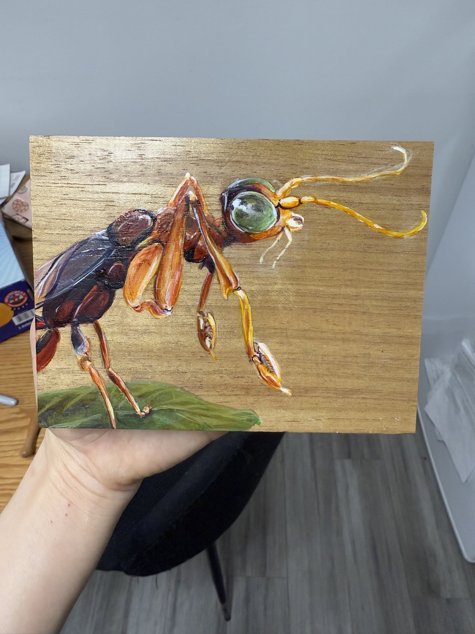The body of an invertebrate that lasts for years