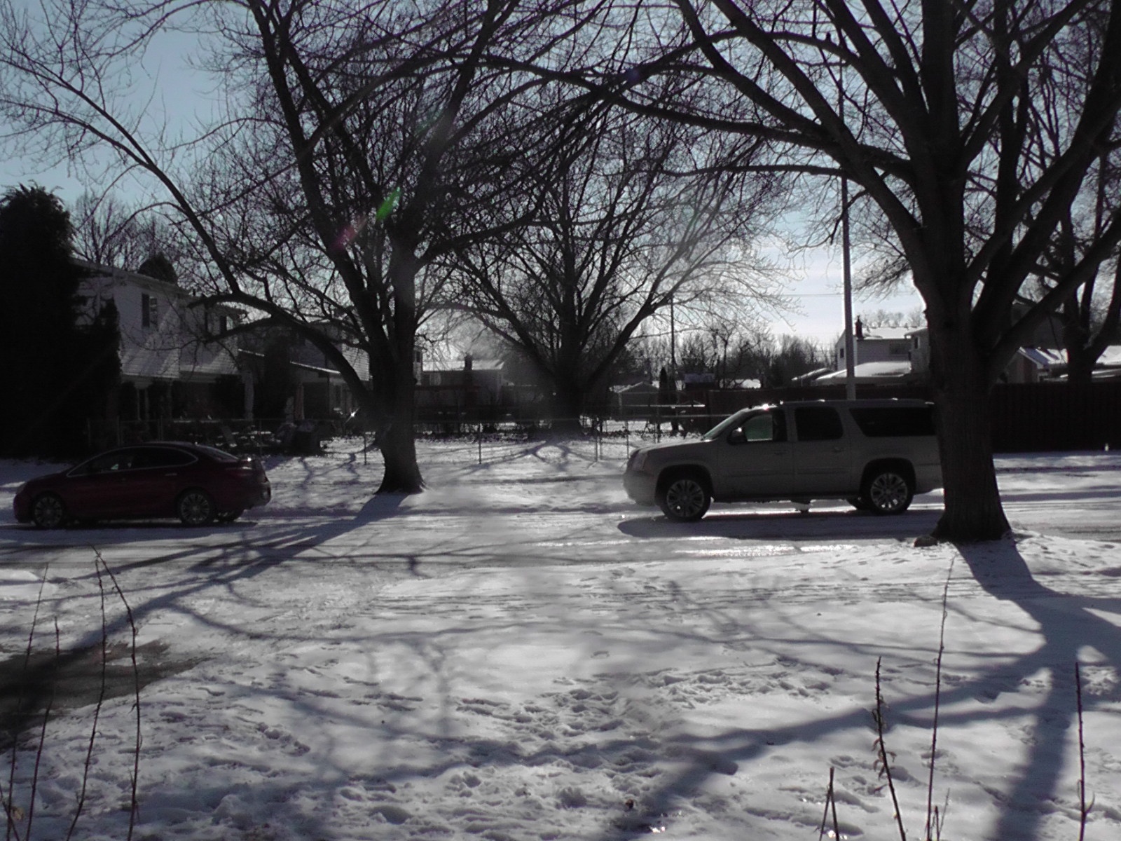Sunny Snow: A Beautiful Winter Paradox