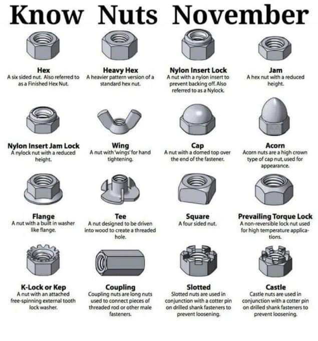 Embrace the Quirkiness of Know Nuts November