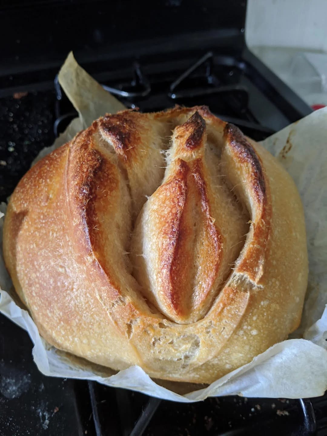 This Bread is Way Too Extra: Calm Down, Please!