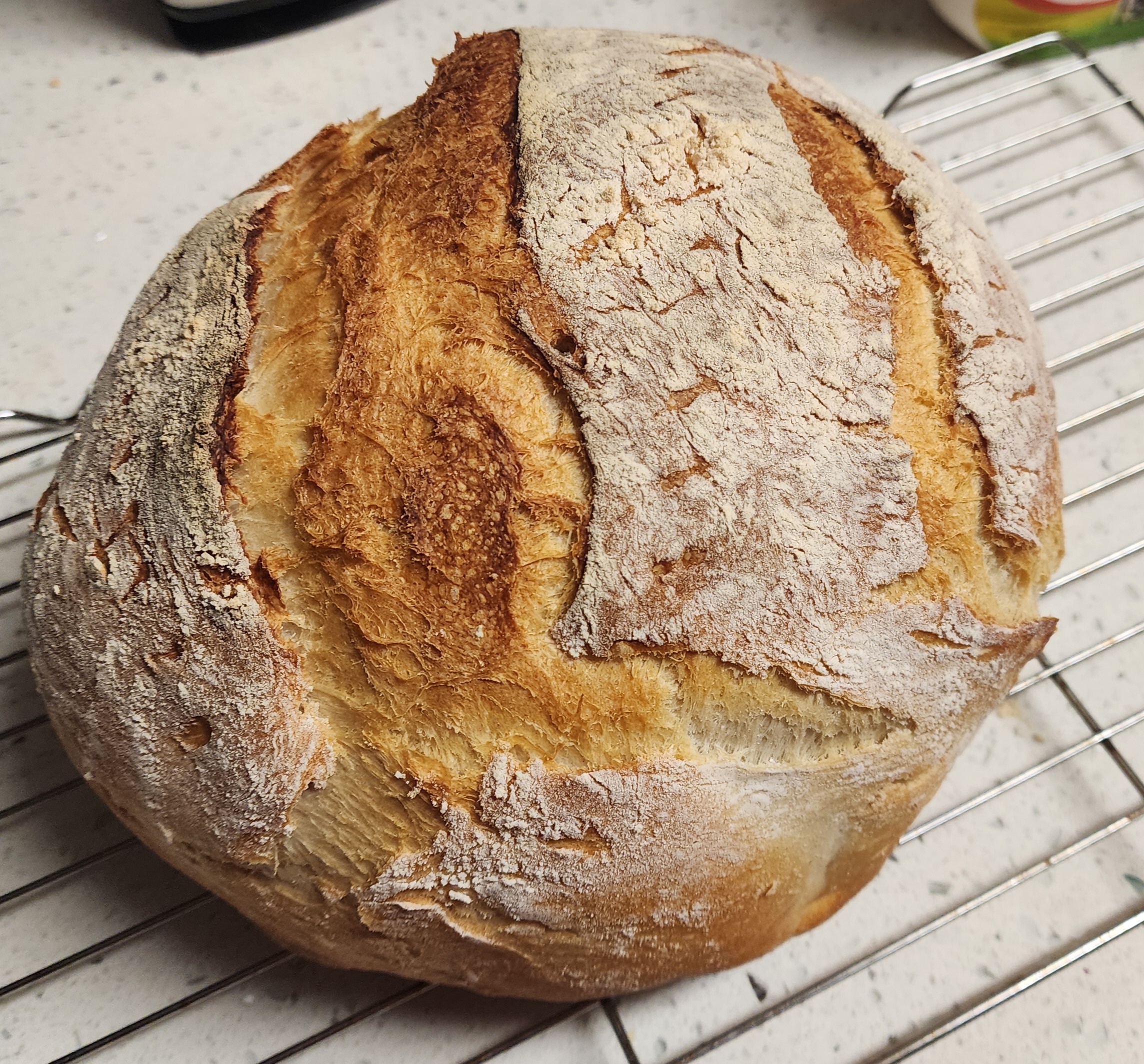 Merry Christmas! Check Out My Homemade Sourdough!