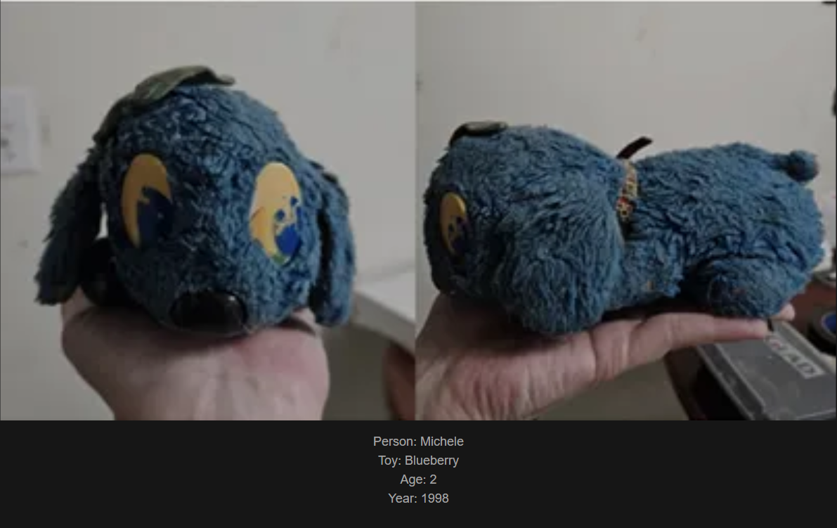 Day 813: Join me on a journey to my website celebrating the bond with our beloved childhood toys! Meet Blueberry, our latest addition!