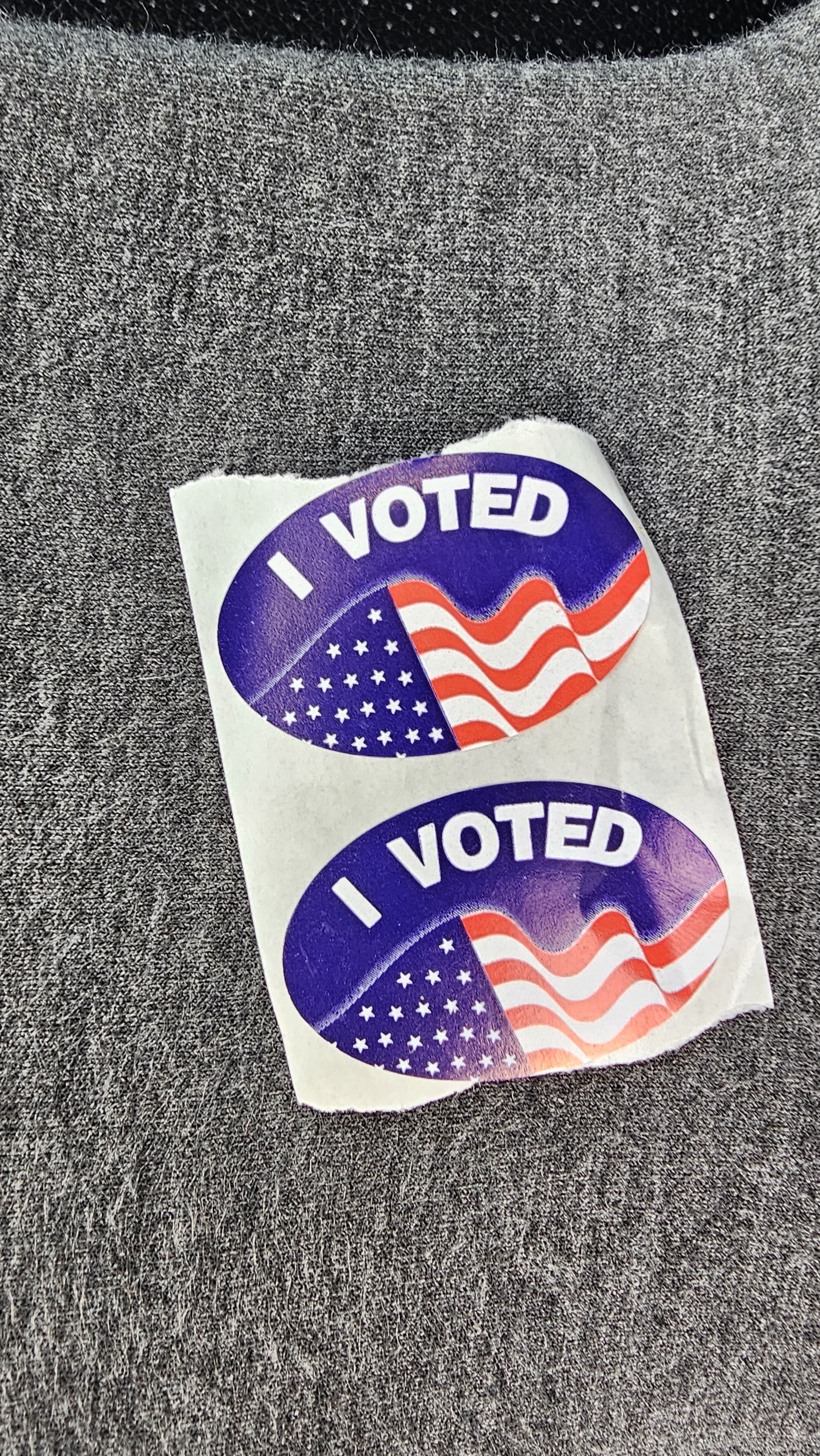 I Stepped Up and Did My Part for Democracy!