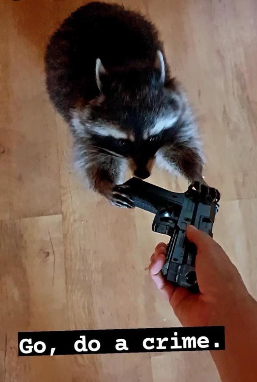 Alright, Take It Away, My Friend!