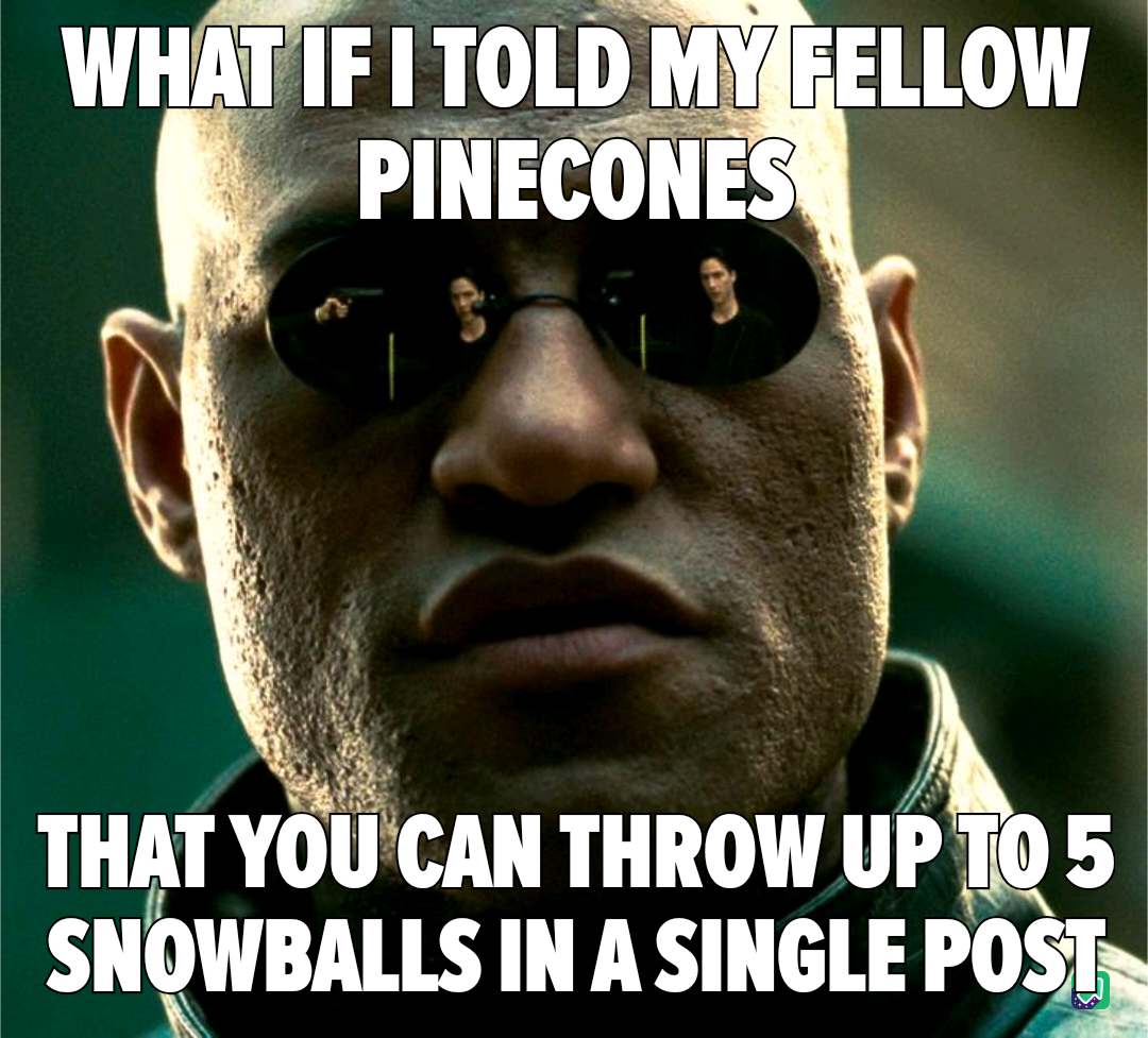This One's Exclusively About Pinecones!