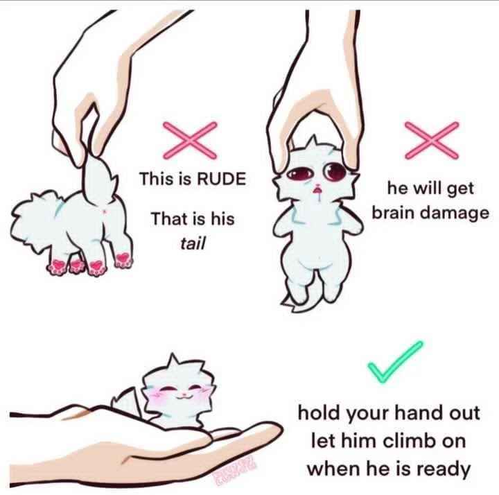 Mastering the Art of Handling Your Boy Kisser