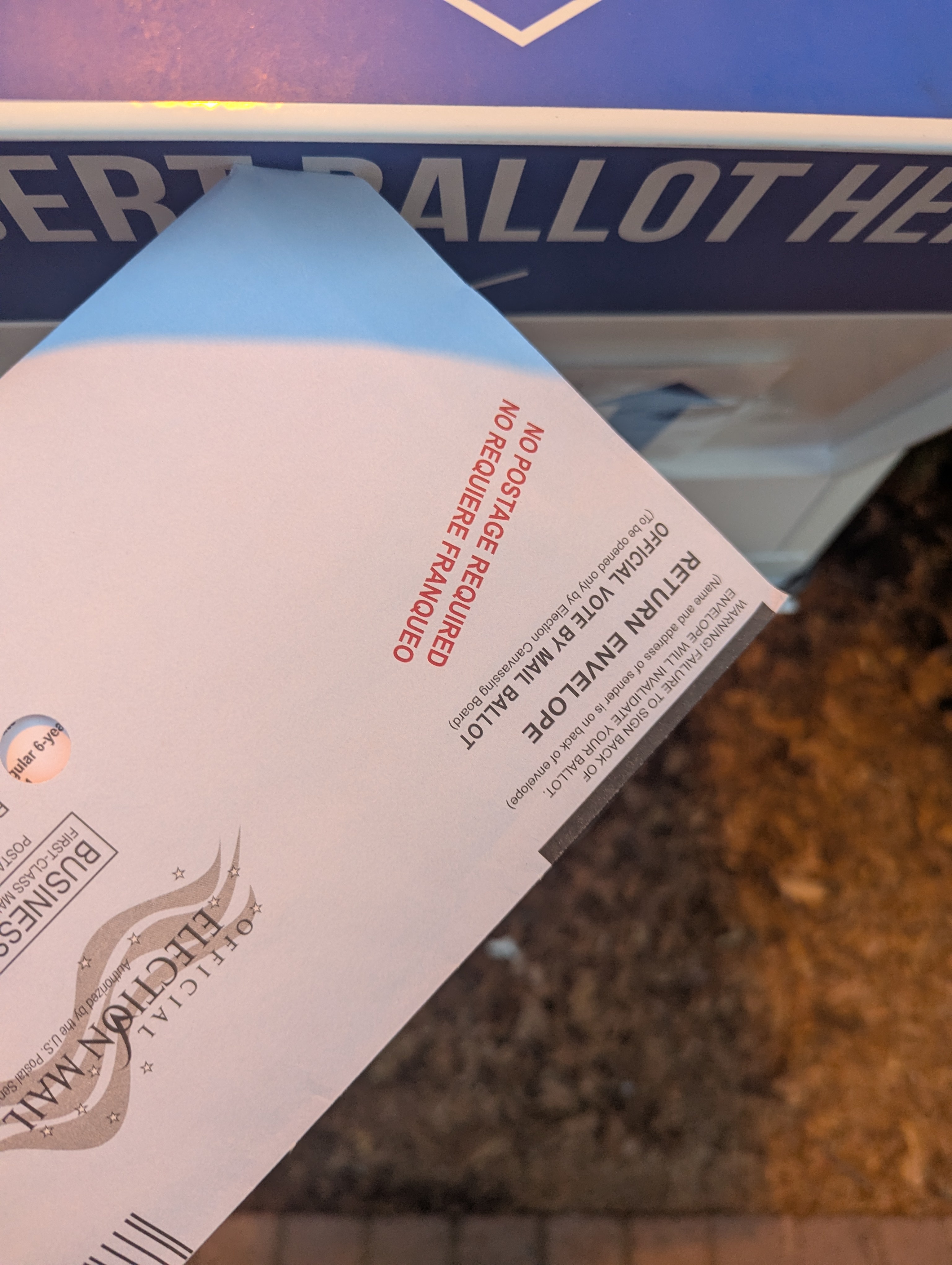 Voting Choices: Harris/Walz and a Democratic Ticket, Yes or No on the Props?
