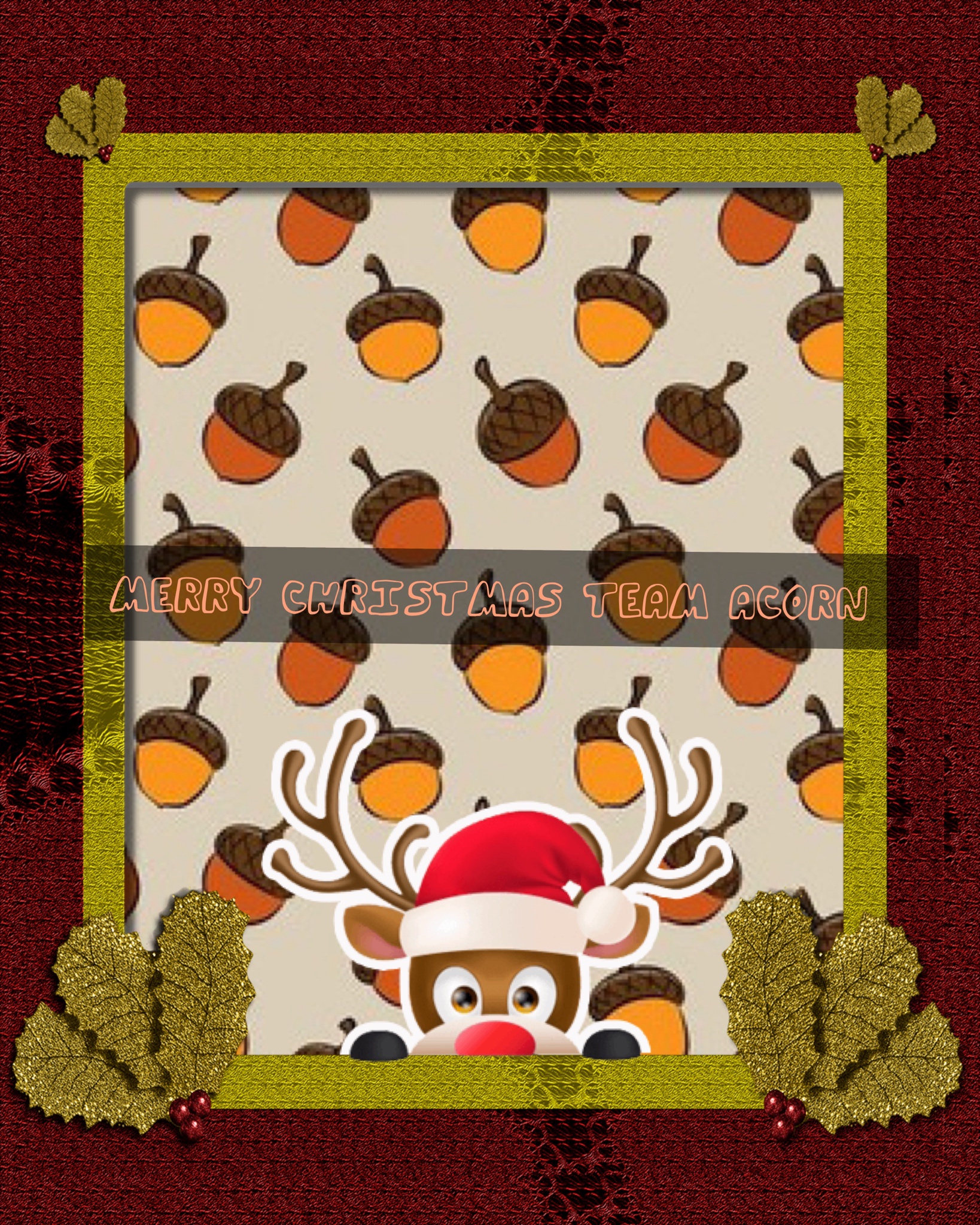 Merry Christmas from Team Acorn!
