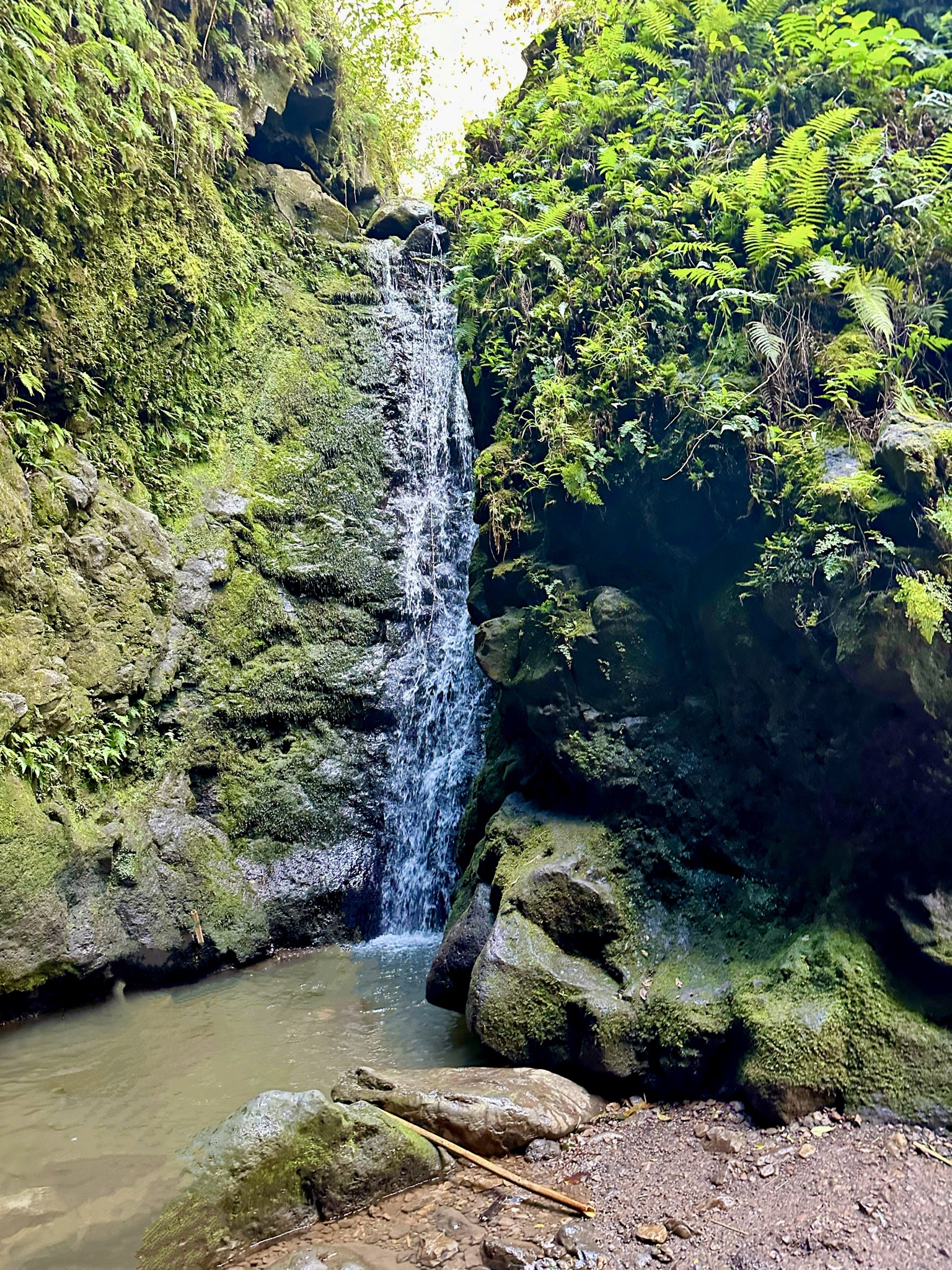 The Breathtaking Waterfall 13 in Maui