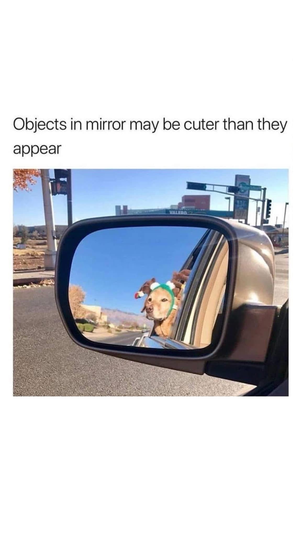 Adorably Cute Moments That Melt Your Heart