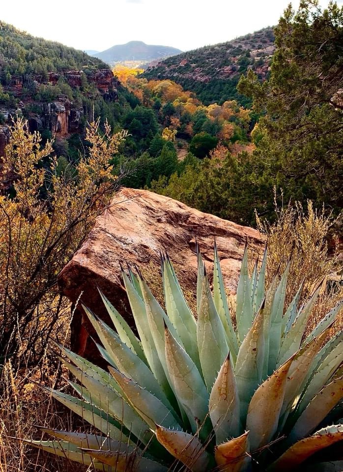 Exploring the Majestic Canyon