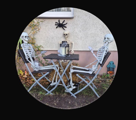 Spooktacular Decorations for the Season