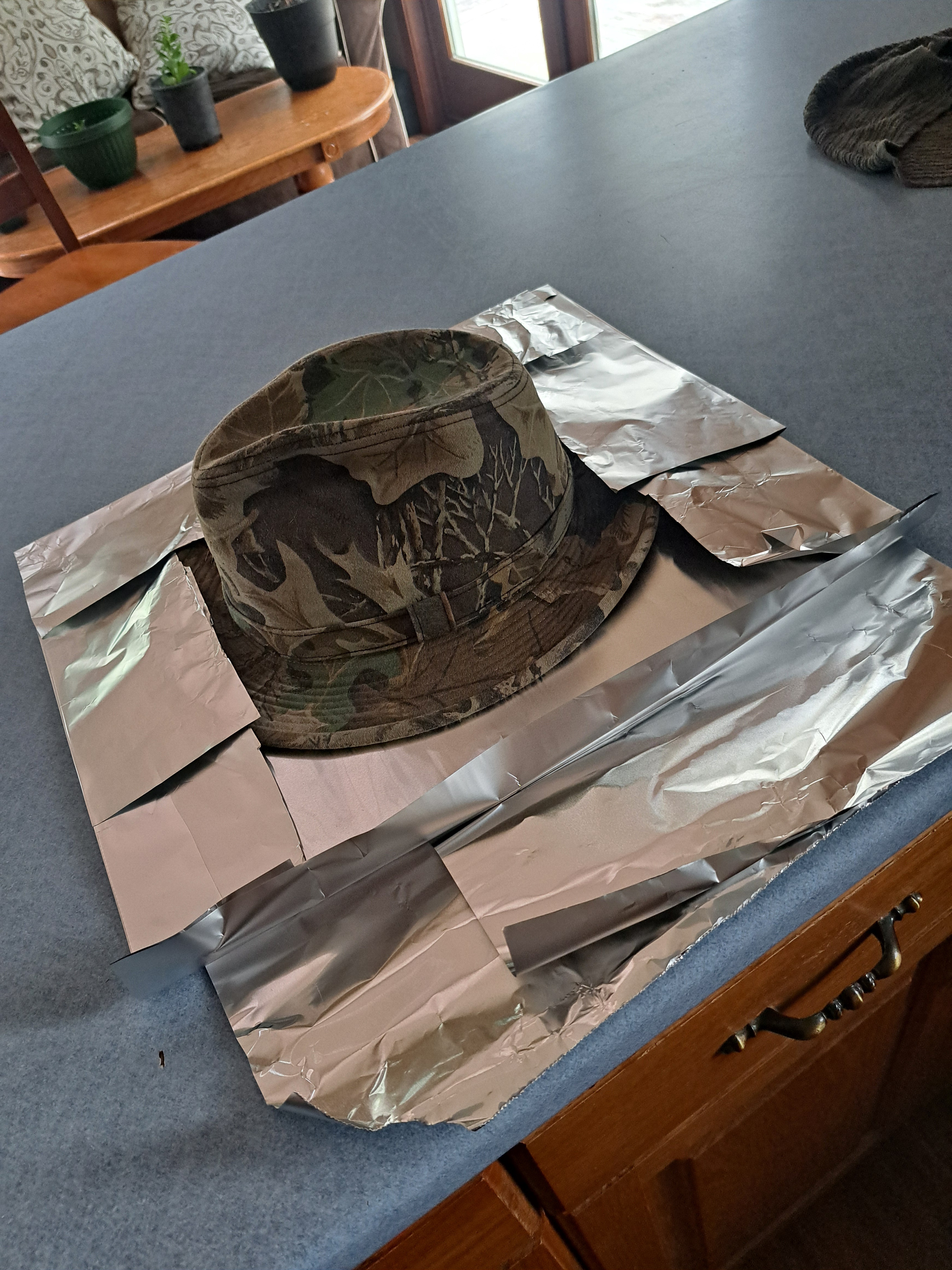 Embarking on the Sorting Hat Project: Part One