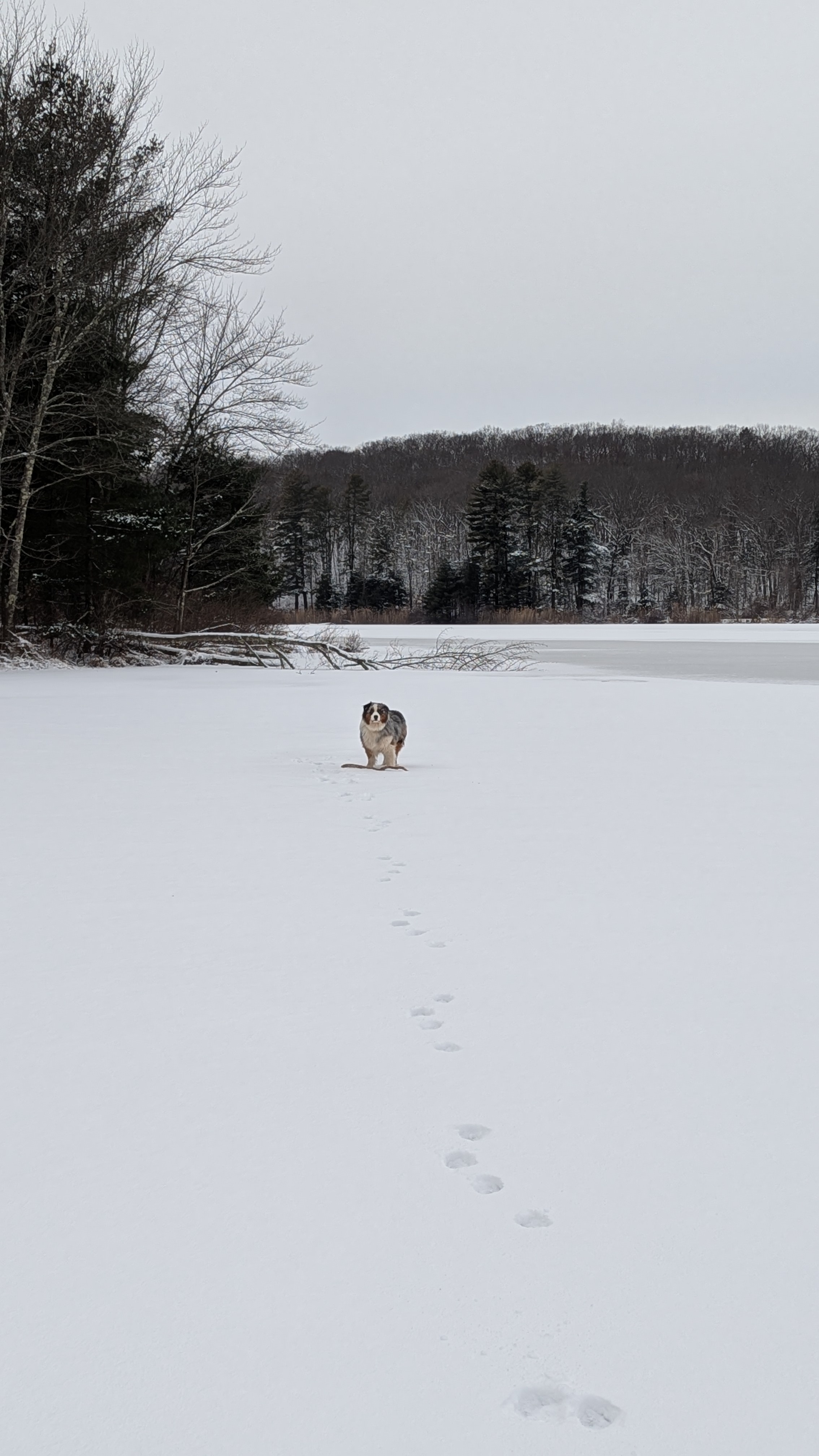 Chilling on the Ice with Finn