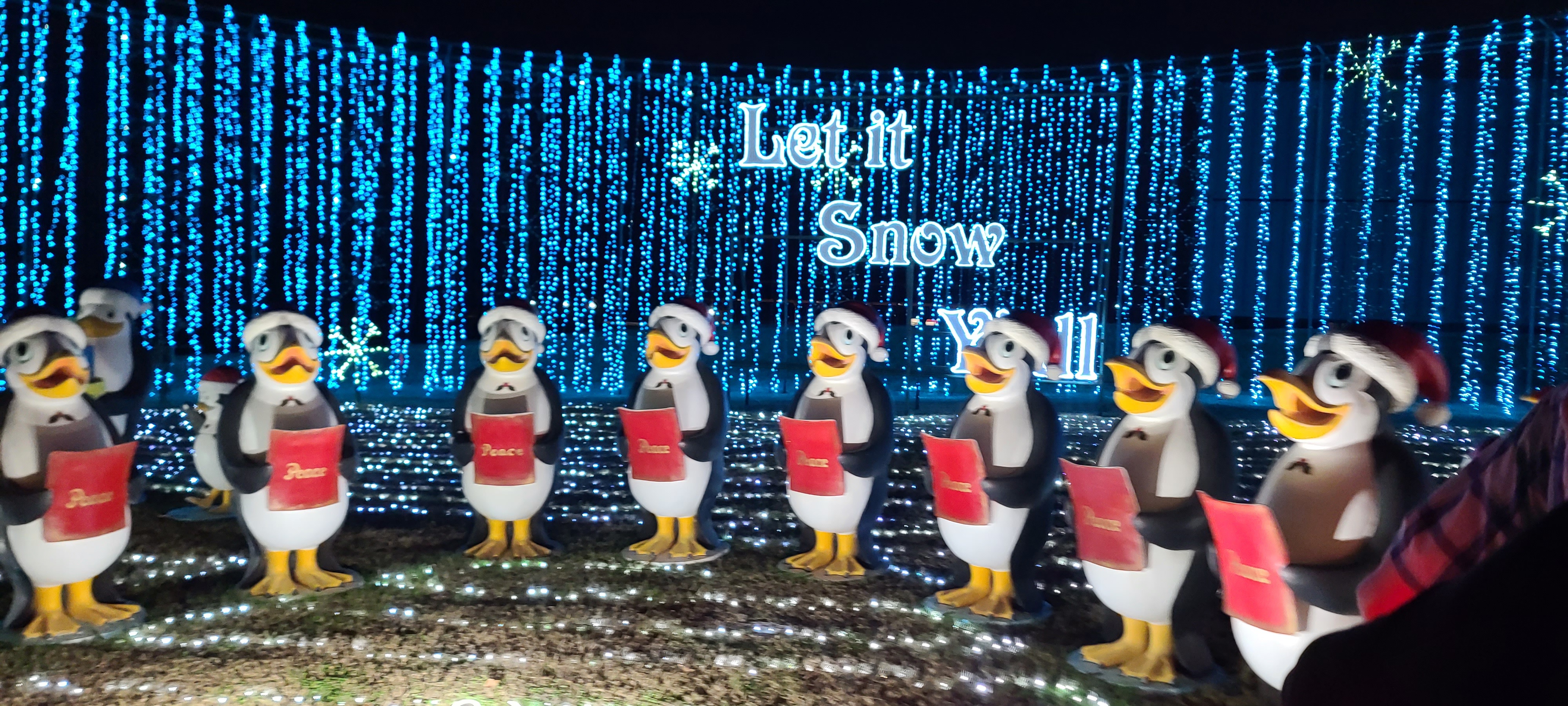 Check Out These Tantalizing Tits!