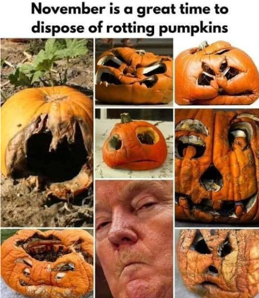 Time to Bid Farewell to This Gnarled, Festering Pumpkin!