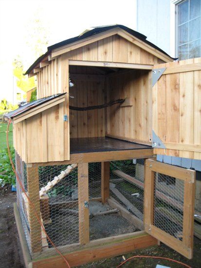 A Beginner's Guide to Building Your Own Chicken Coop