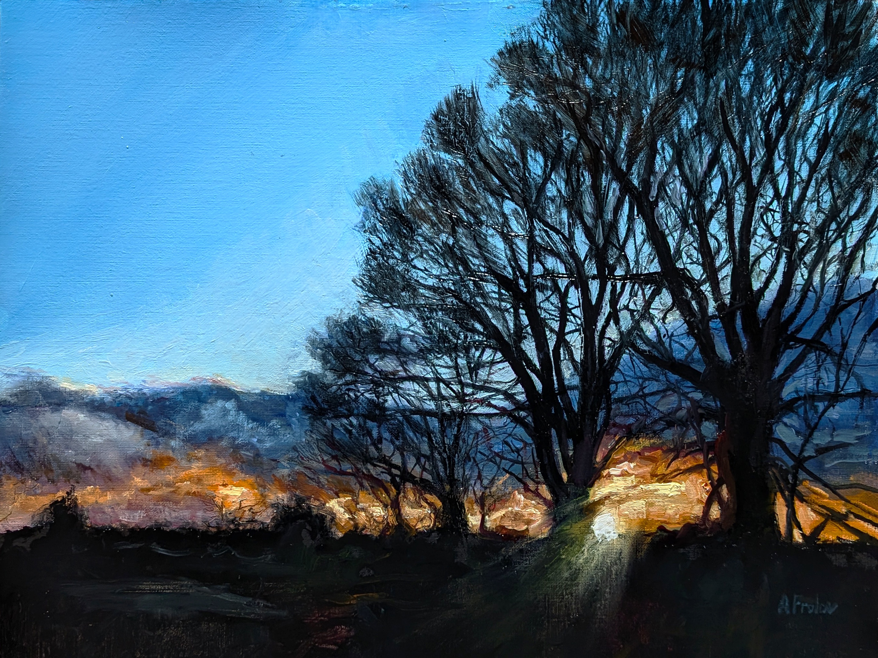 My Oil Painting Capturing the Morning Sun