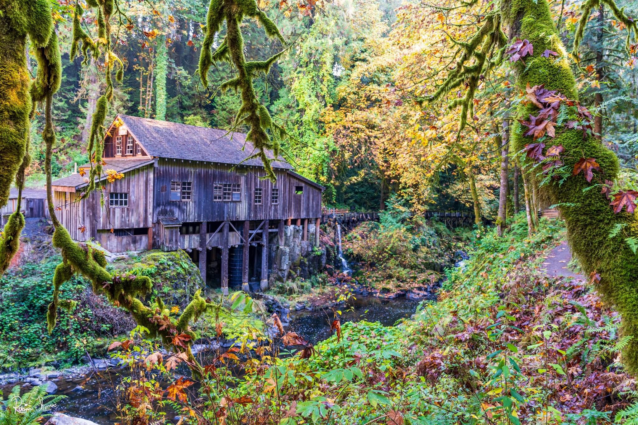 The Mill: A Glimpse into History